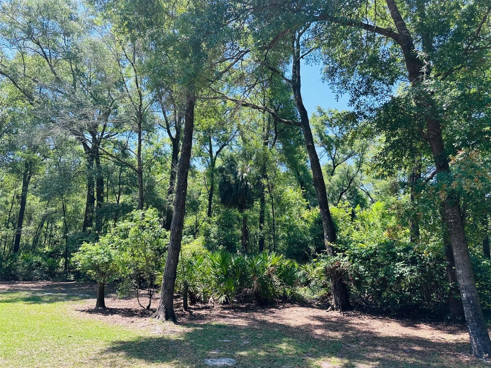 CEDAR PINES - Residential