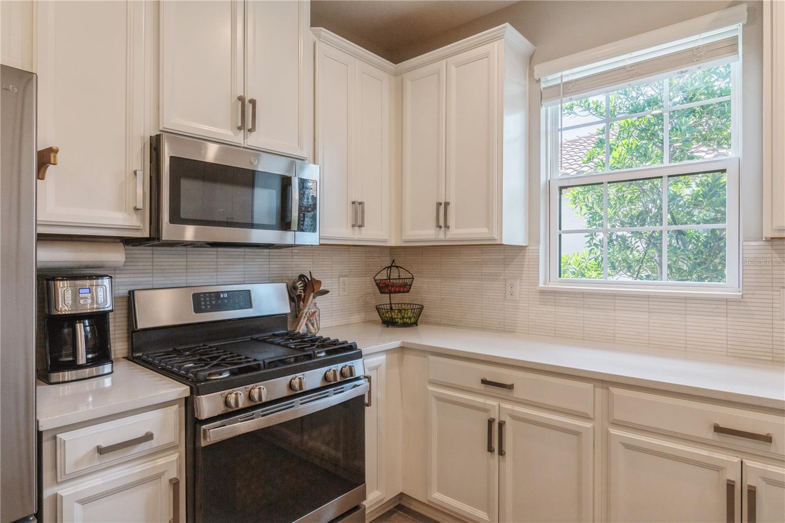 SKYE RANCH NBRHD 4 NORTH - Residential Lease