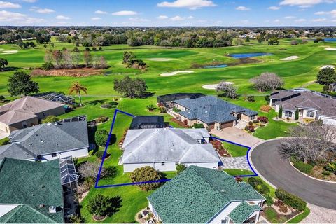 Photo of 3024 Paynes Place, The Villages, FL 32162 (MLS # TB8479992)