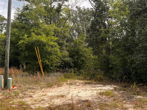 Tiny photo for 7095 N Foxdale Drive, Citrus Springs, FL 34434 (MLS # W7885692)