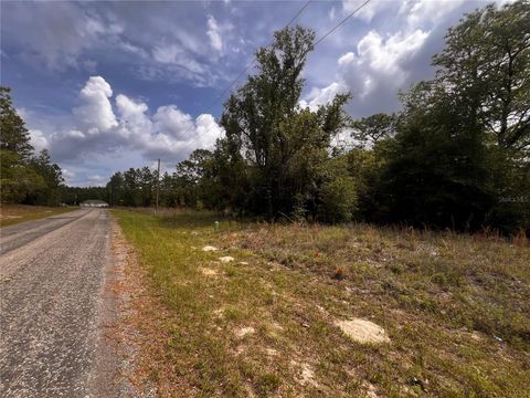 Tiny photo for 7095 N Foxdale Drive, Citrus Springs, FL 34434 (MLS # W7885692)