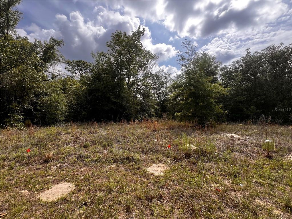 Photo of 7095 N Foxdale Drive, Citrus Springs, FL 34434 (MLS # W7885692)