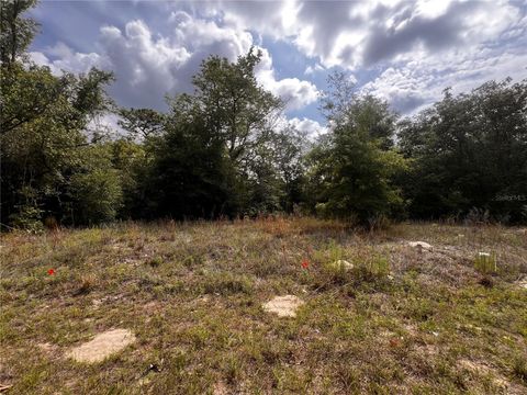 Photo of 7095 N Foxdale Drive, Citrus Springs, FL 34434 (MLS # W7885692)