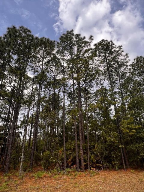 Tiny photo for 7095 N Foxdale Drive, Citrus Springs, FL 34434 (MLS # W7885692)