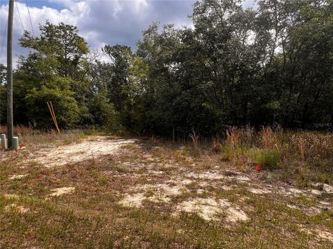 Tiny photo for 7095 N Foxdale Drive, Citrus Springs, FL 34434 (MLS # W7885692)