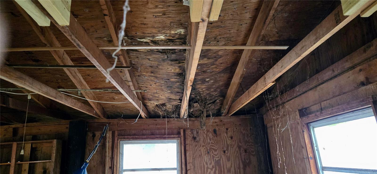 COLLINS ARMENIA PARK - Commercial Sale