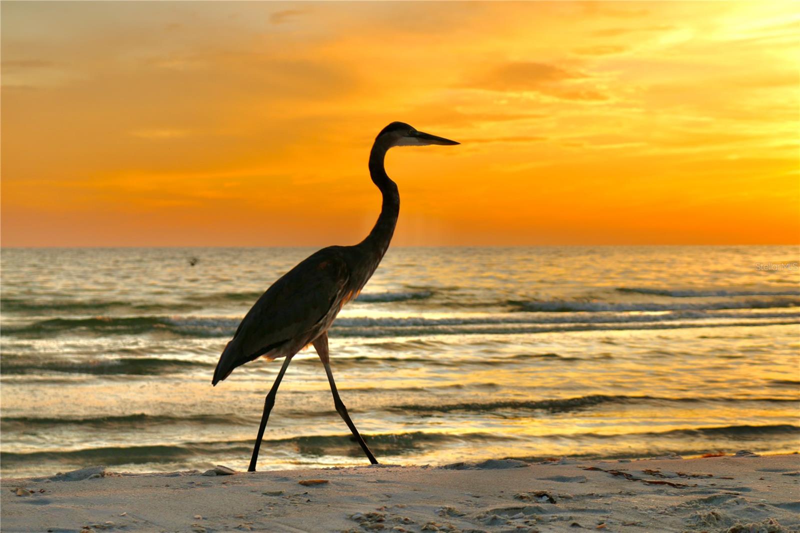 TEN35 SEASIDE - Residential