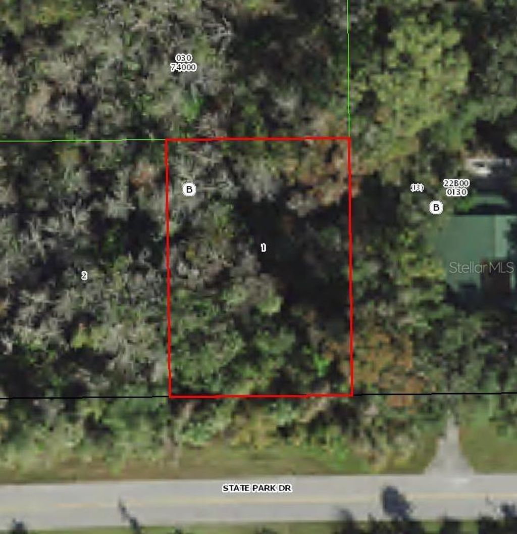 Photo of 11123 W State Park Street, Crystal River, FL 34428 (MLS # O6041287)