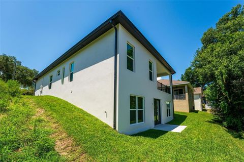 A home in EUSTIS