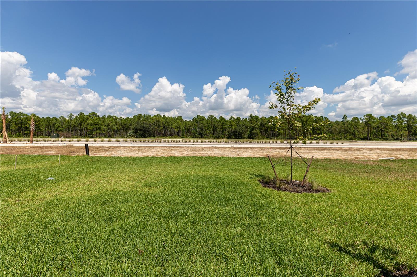 45126 PIPEVINE CIRCLE, PUNTA GORDA,, FL, 33982 3 45126 PIPEVINE CIRCLE