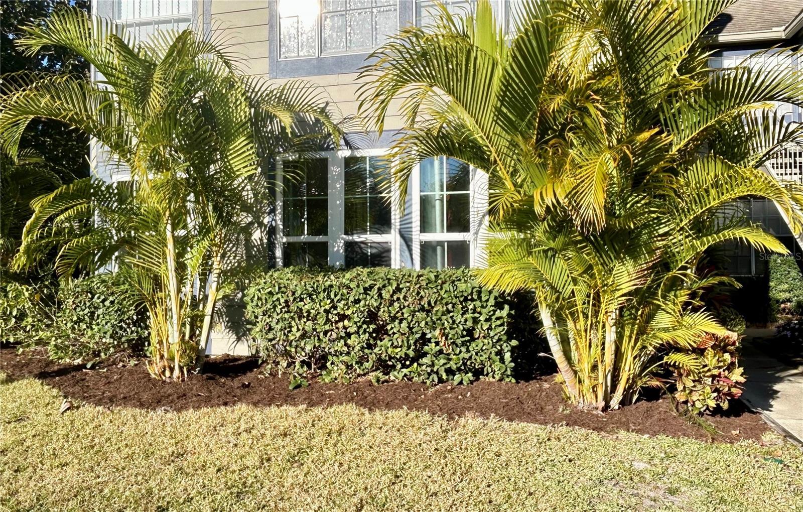 HIDDEN VILLAGE CONDO - Residential