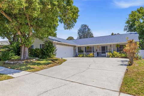 4936 MINEOLA PLACE PALM HARBOR FL 34684