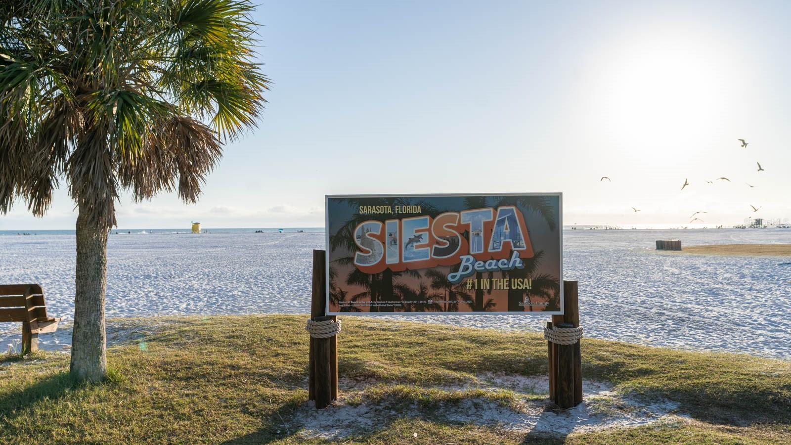 PHILLIPE GARDENS - Residential Income