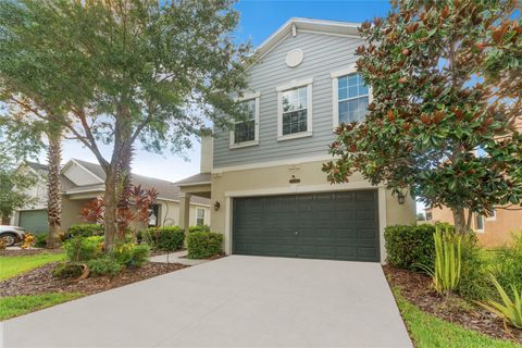 A home in LAND O LAKES