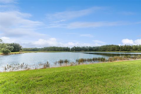 A home in LAND O LAKES