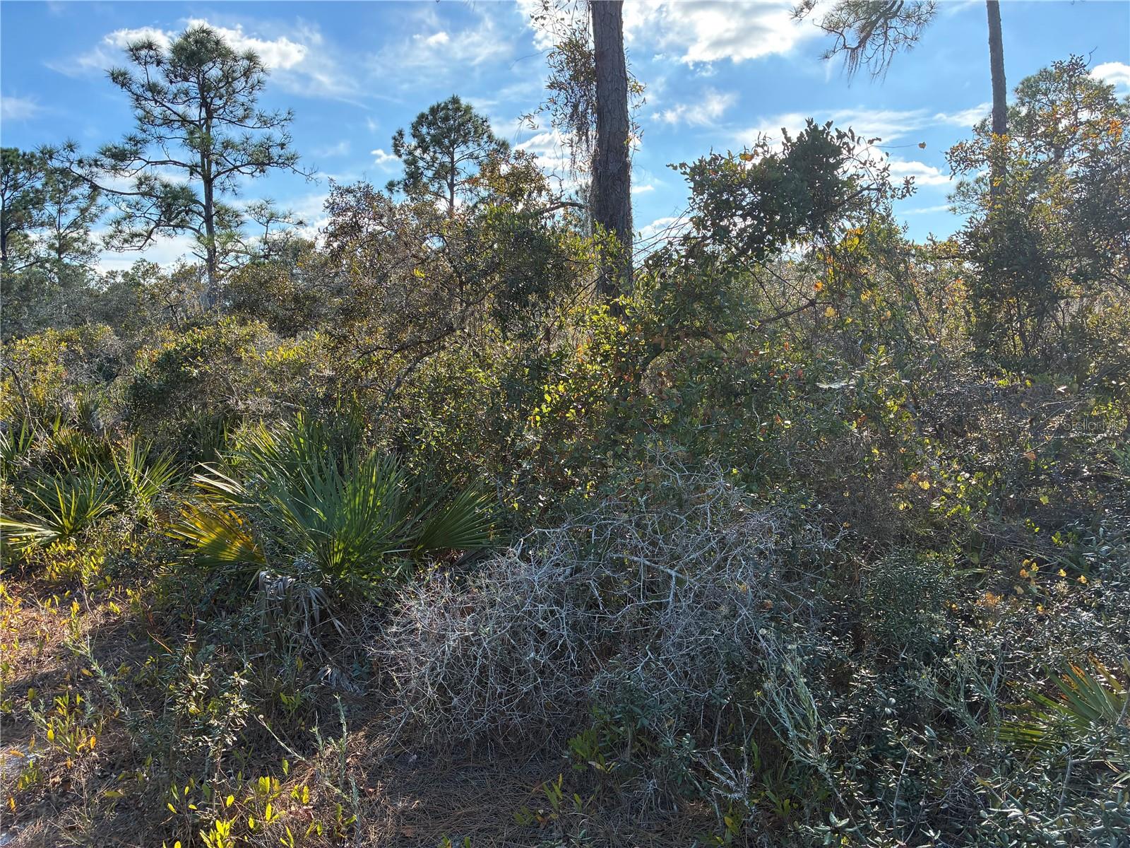 SUNN LAKES ESTATE - Land