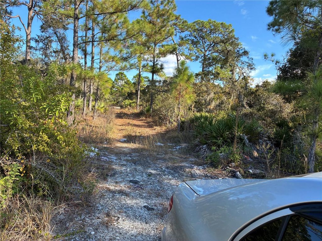 Photo of 321 Showboat Avenue, Lake Placid, FL 33852 (MLS # O6364371)