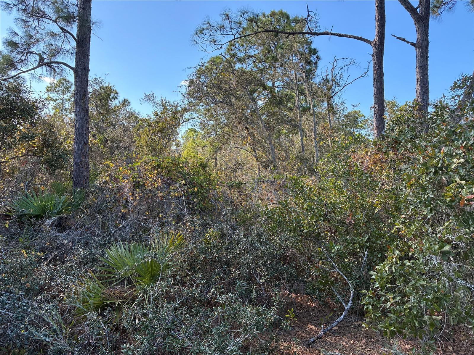 SUNN LAKES ESTATE - Land