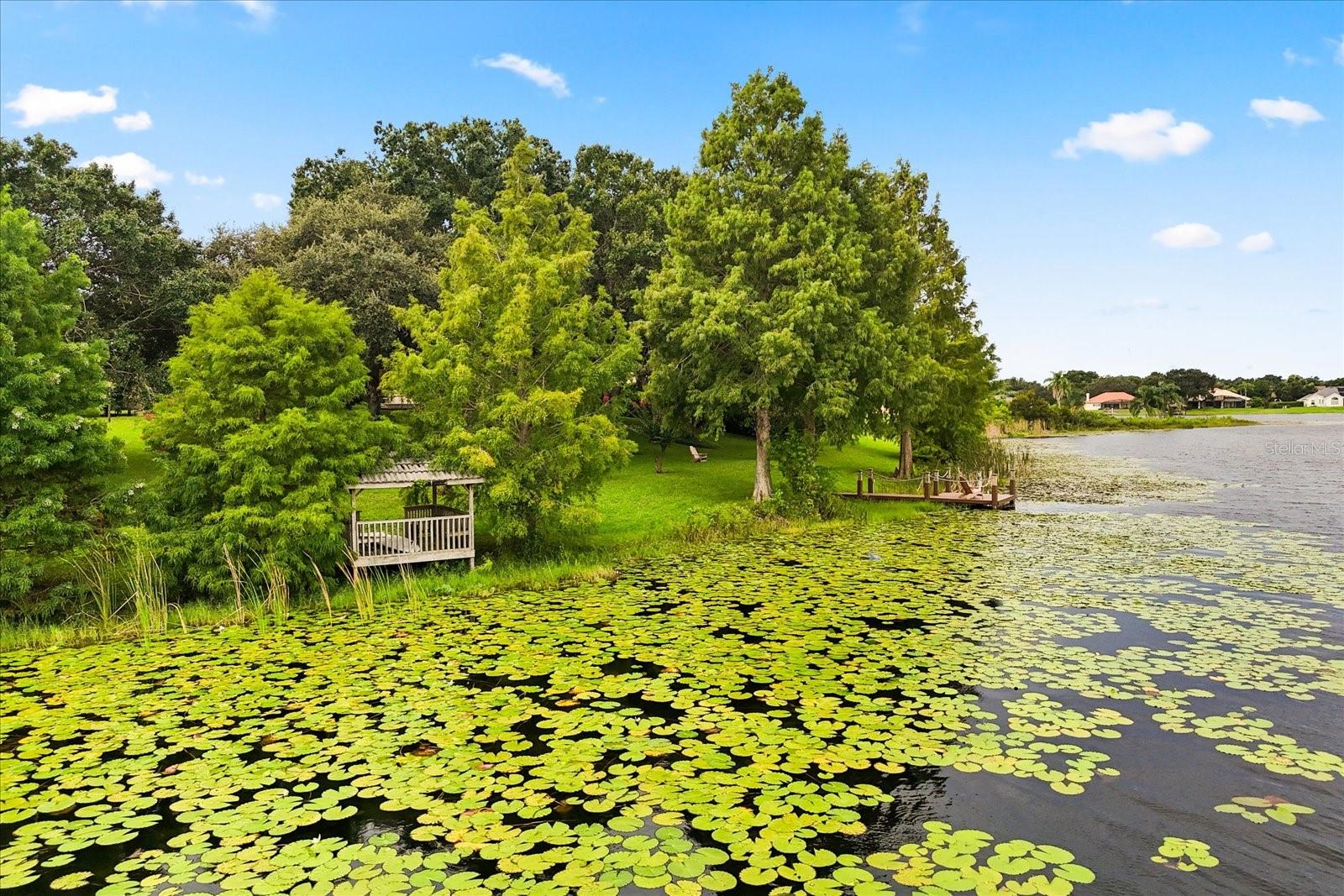 WATERFORD POINTE - Residential