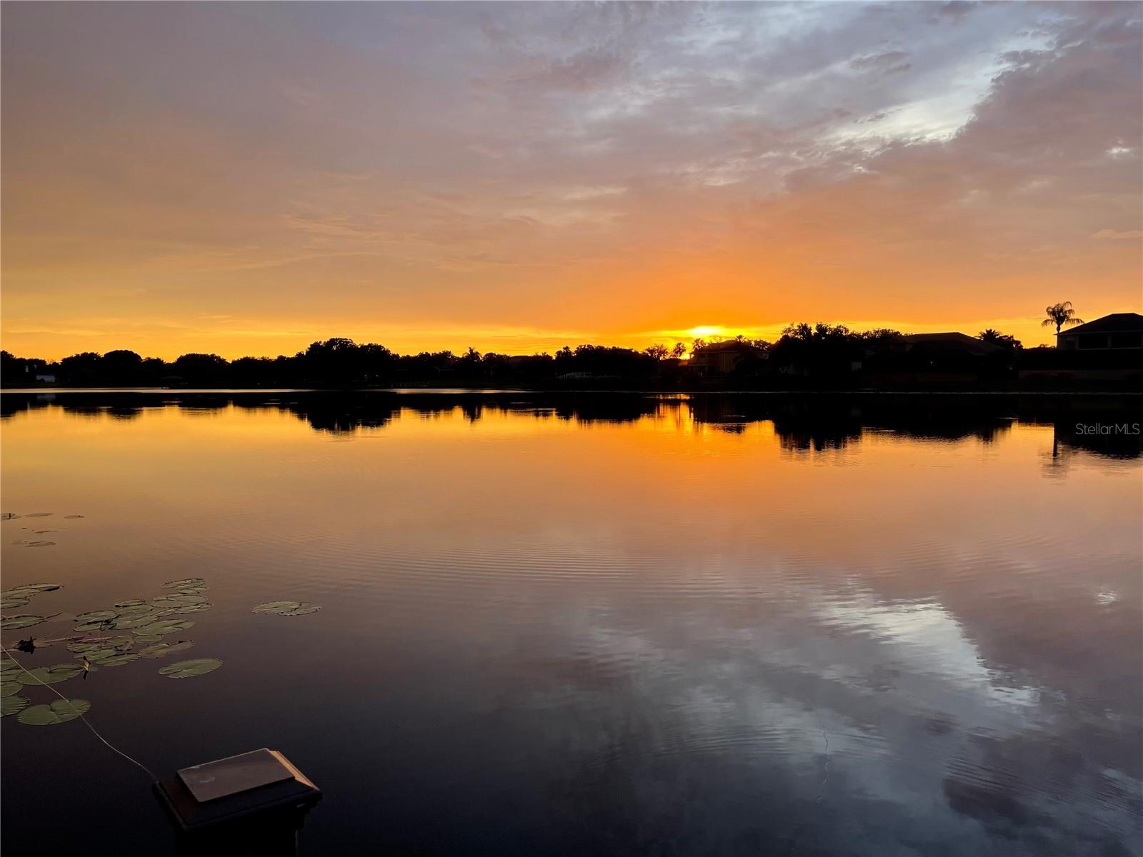 WATERFORD POINTE - Residential