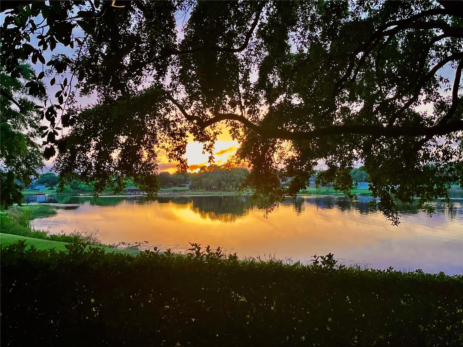 WATERFORD POINTE - Residential