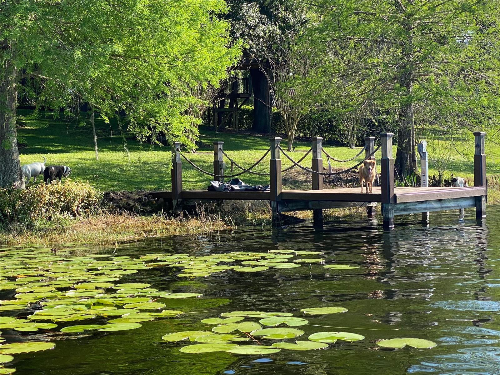 WATERFORD POINTE - Residential