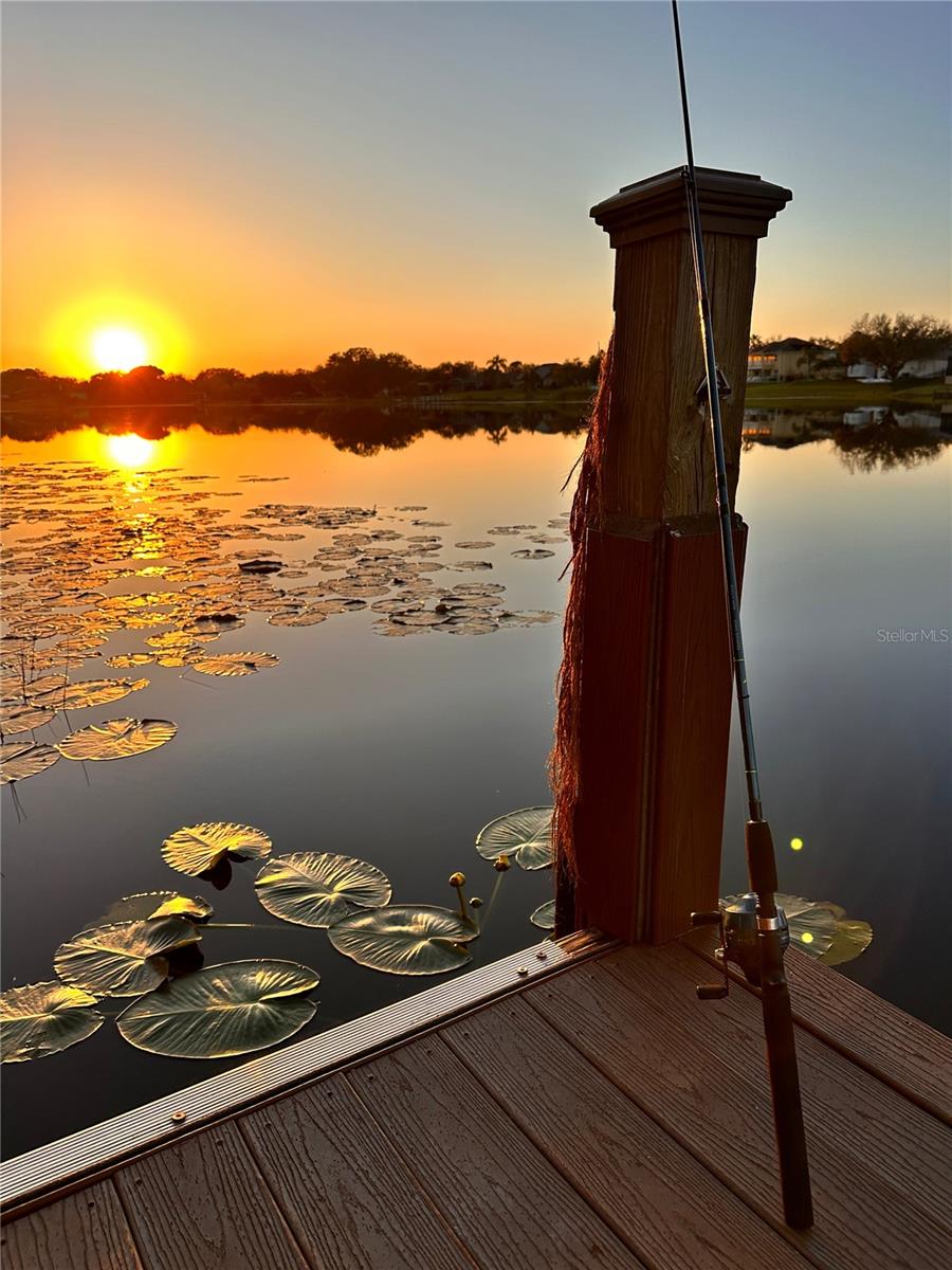 WATERFORD POINTE - Residential