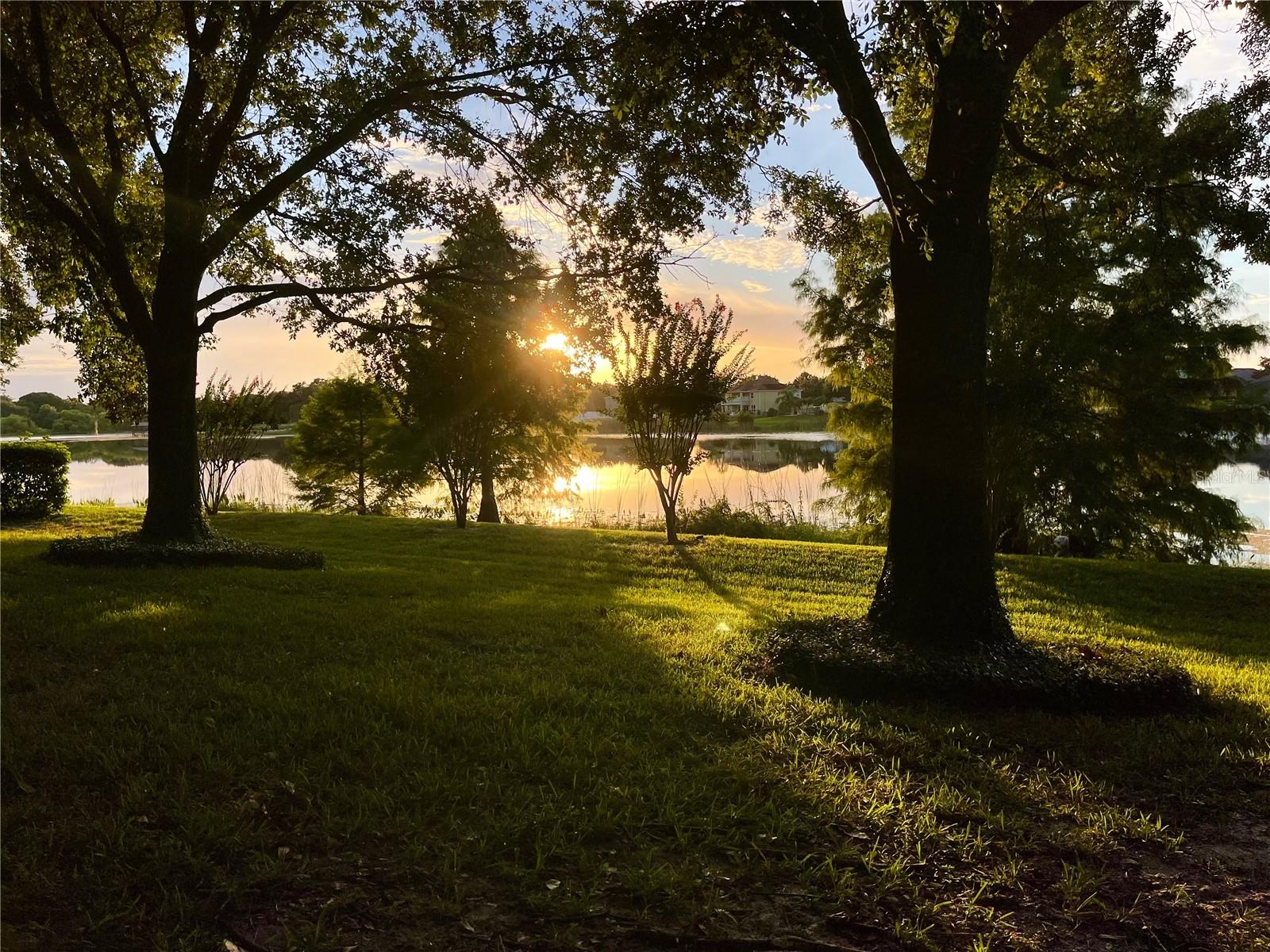 WATERFORD POINTE - Residential