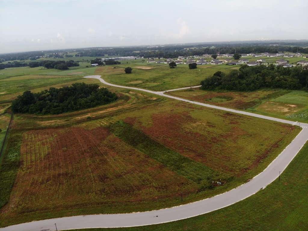 Photo of Spoonbill Run Drive, Thonotosassa, FL 33592 (MLS # O6434559)