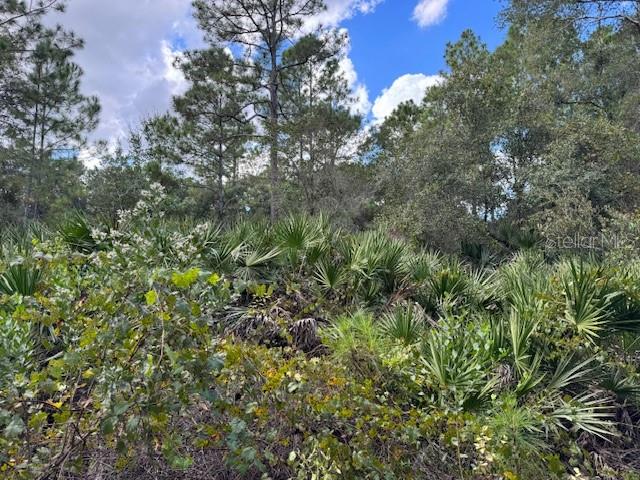 DAYTONA PARK ESTATES REP SEC B - Land