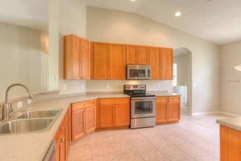 A home in RIVERVIEW