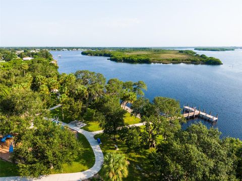 A home in PUNTA GORDA