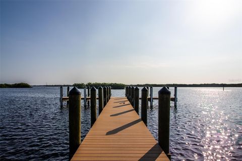 A home in PUNTA GORDA