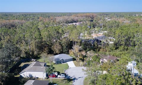 A home in PALM COAST