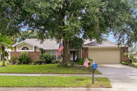 A home in VALRICO