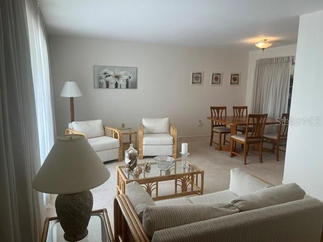 721 BEL AIR AVENUE, SUN CITY CENTER, FL, 33573 2 721 BEL AIR AVENUE