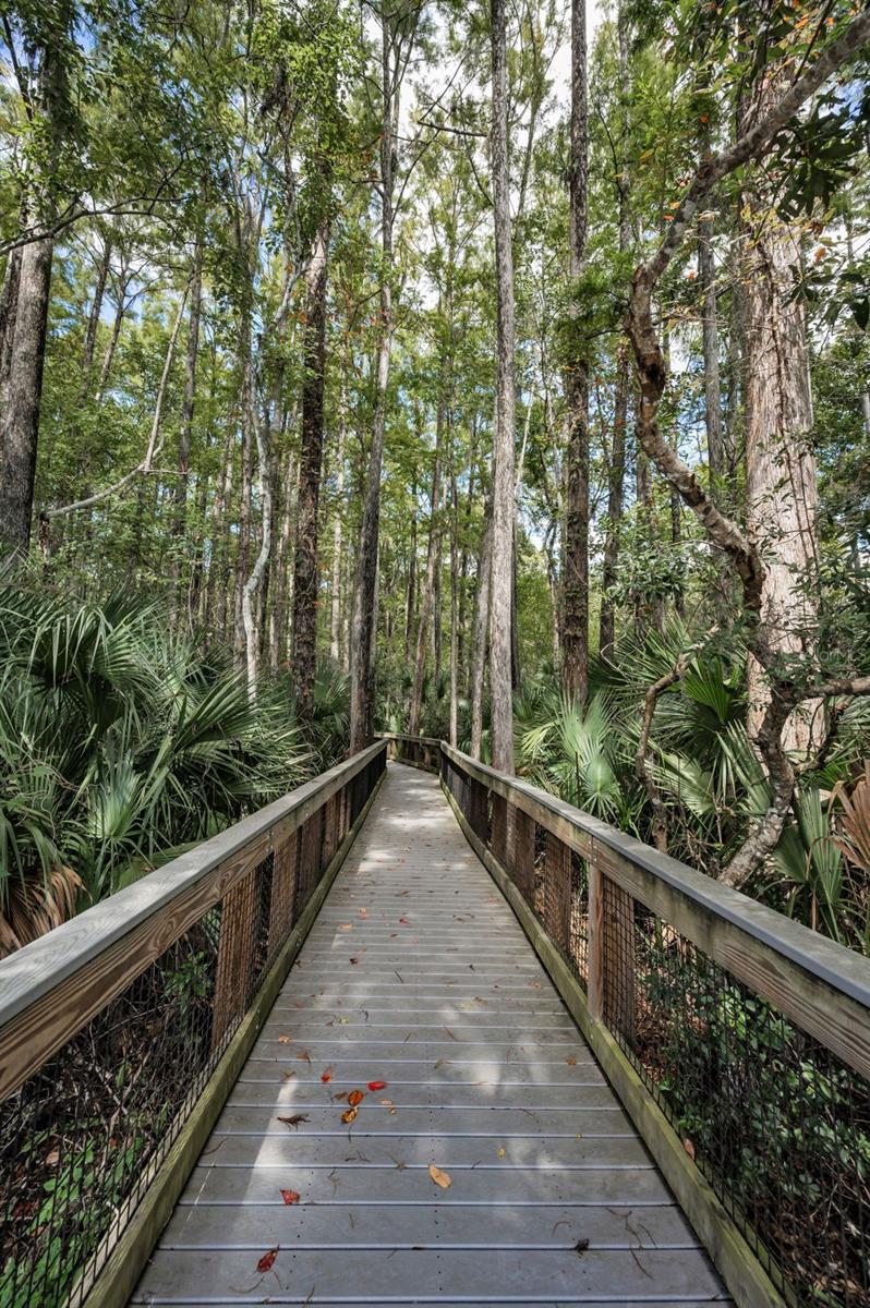 BROOKER CREEK - Residential