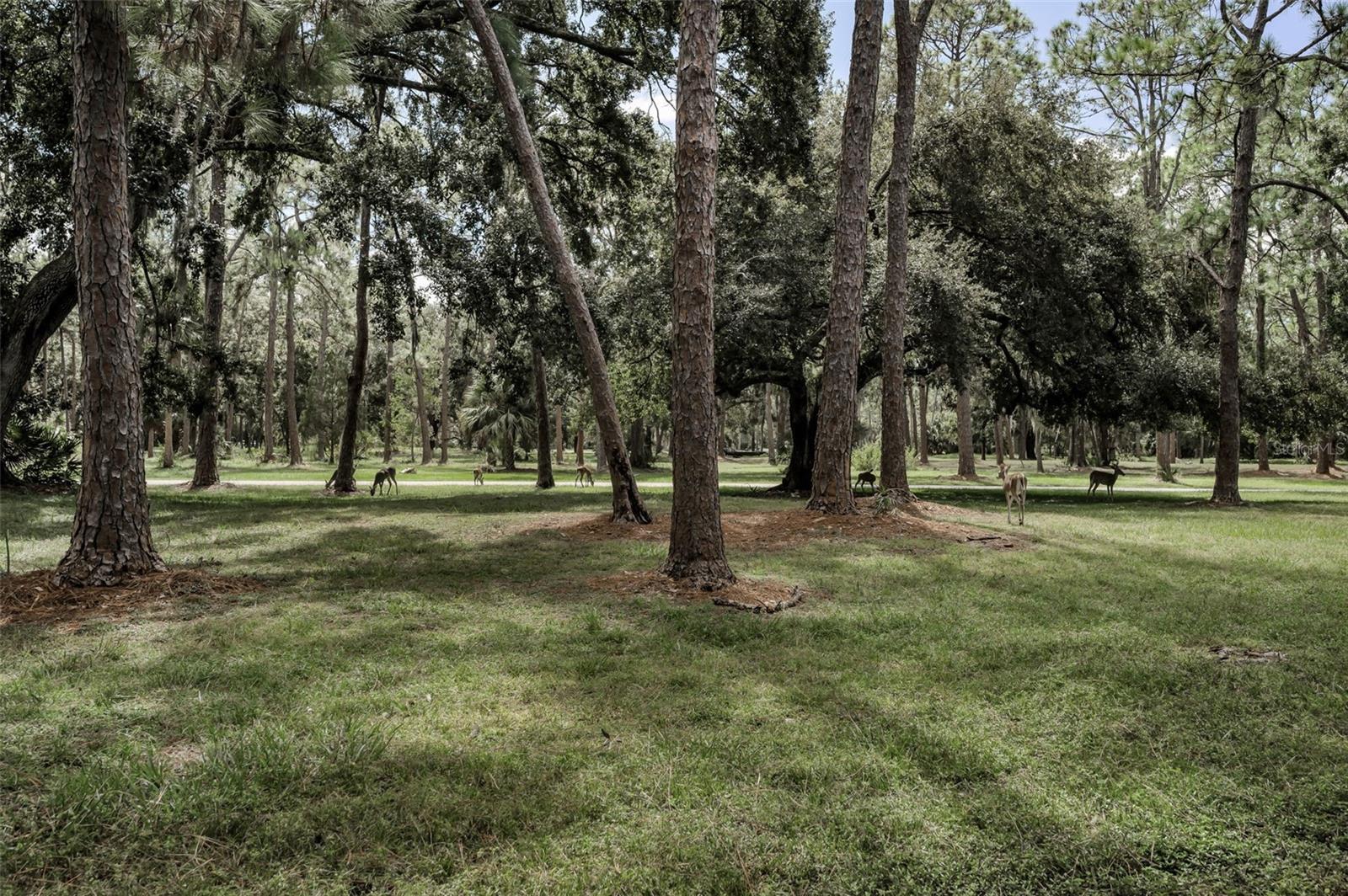 BROOKER CREEK - Residential