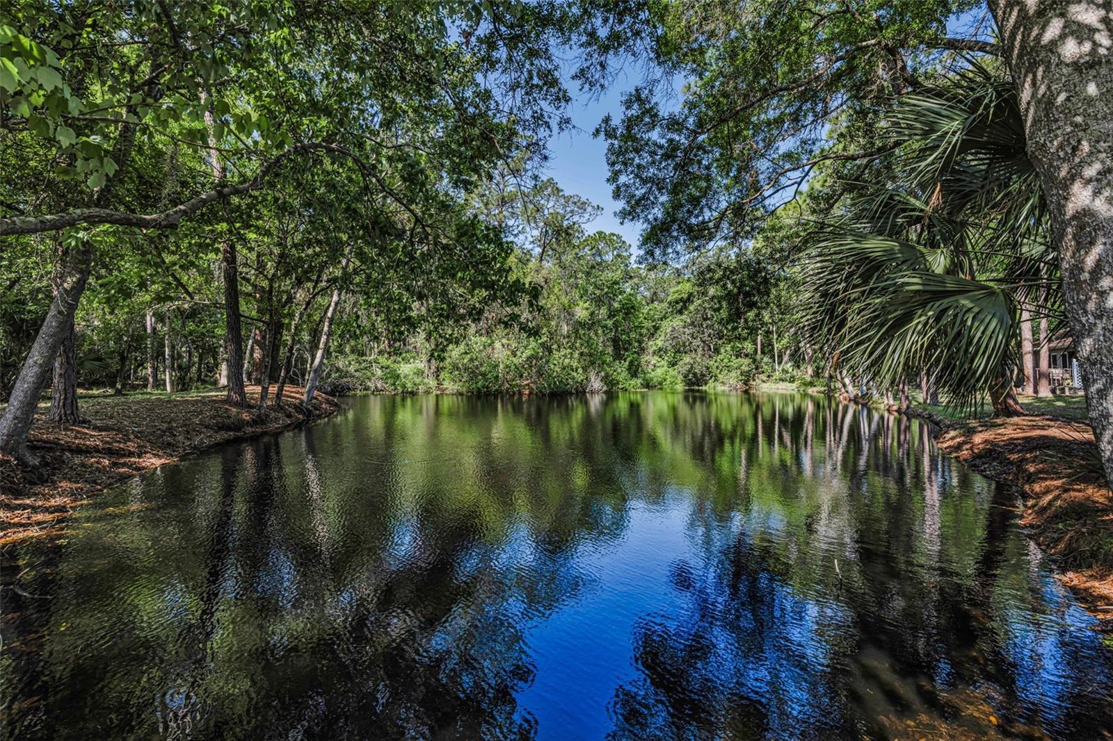 BROOKER CREEK - Residential