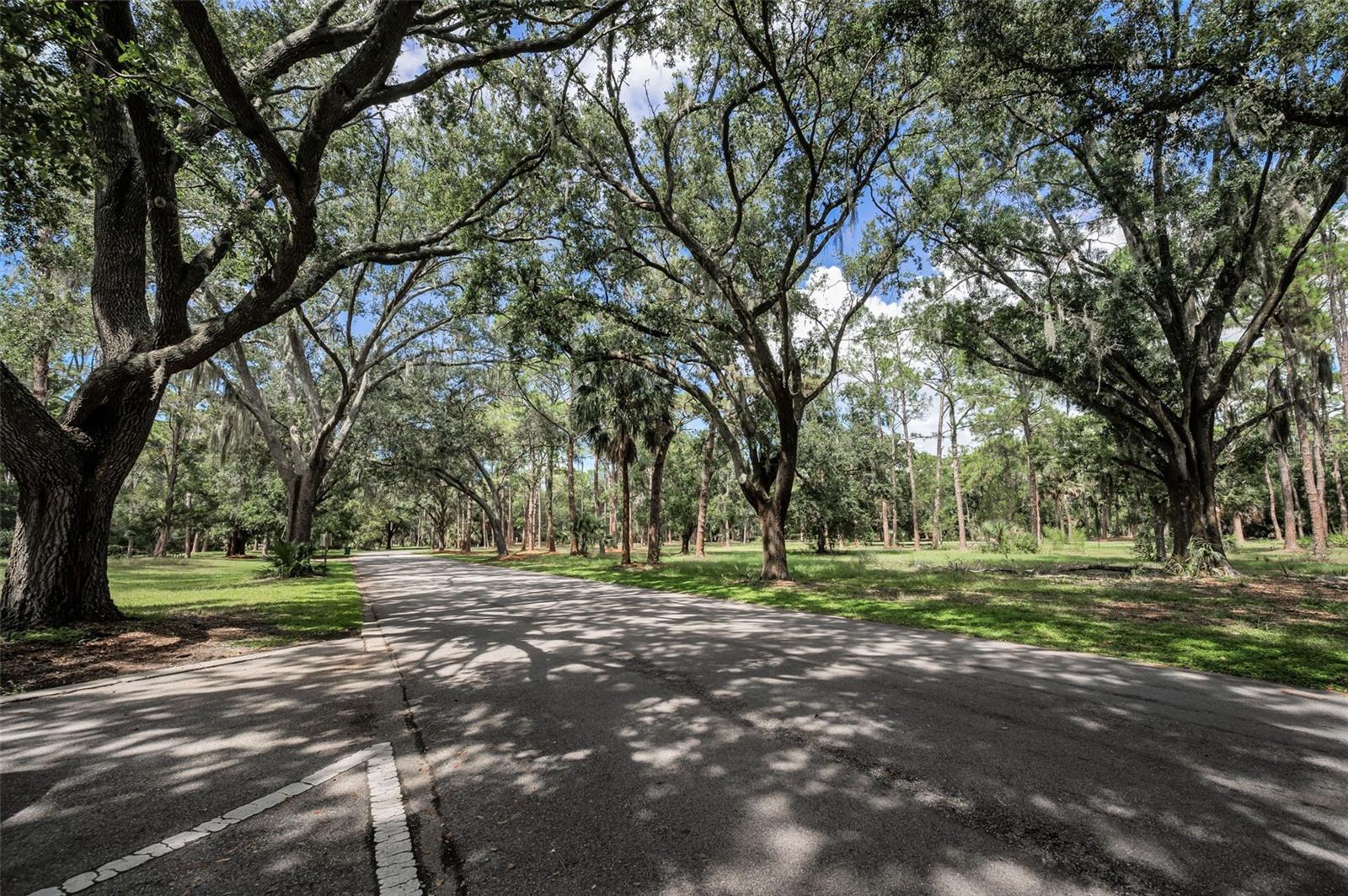 BROOKER CREEK - Residential