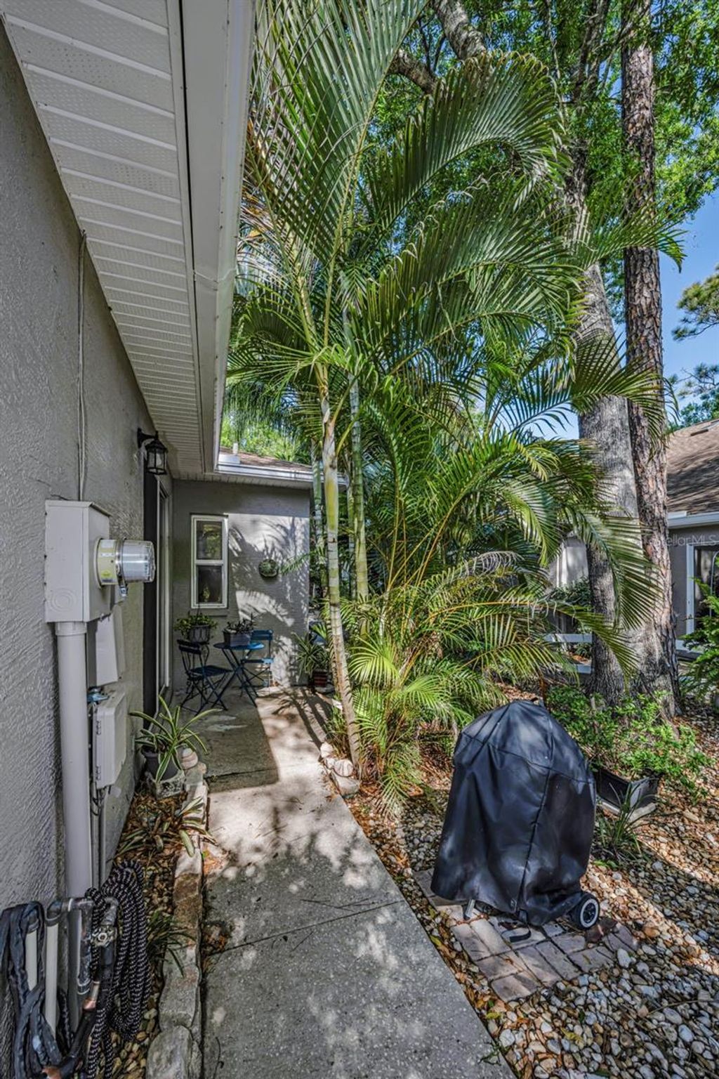 Photo of 3164 Brooker Creek Way, Palm Harbor, FL 34685 (MLS # TB8486837)