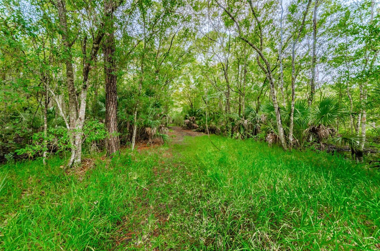 BROOKER CREEK - Residential