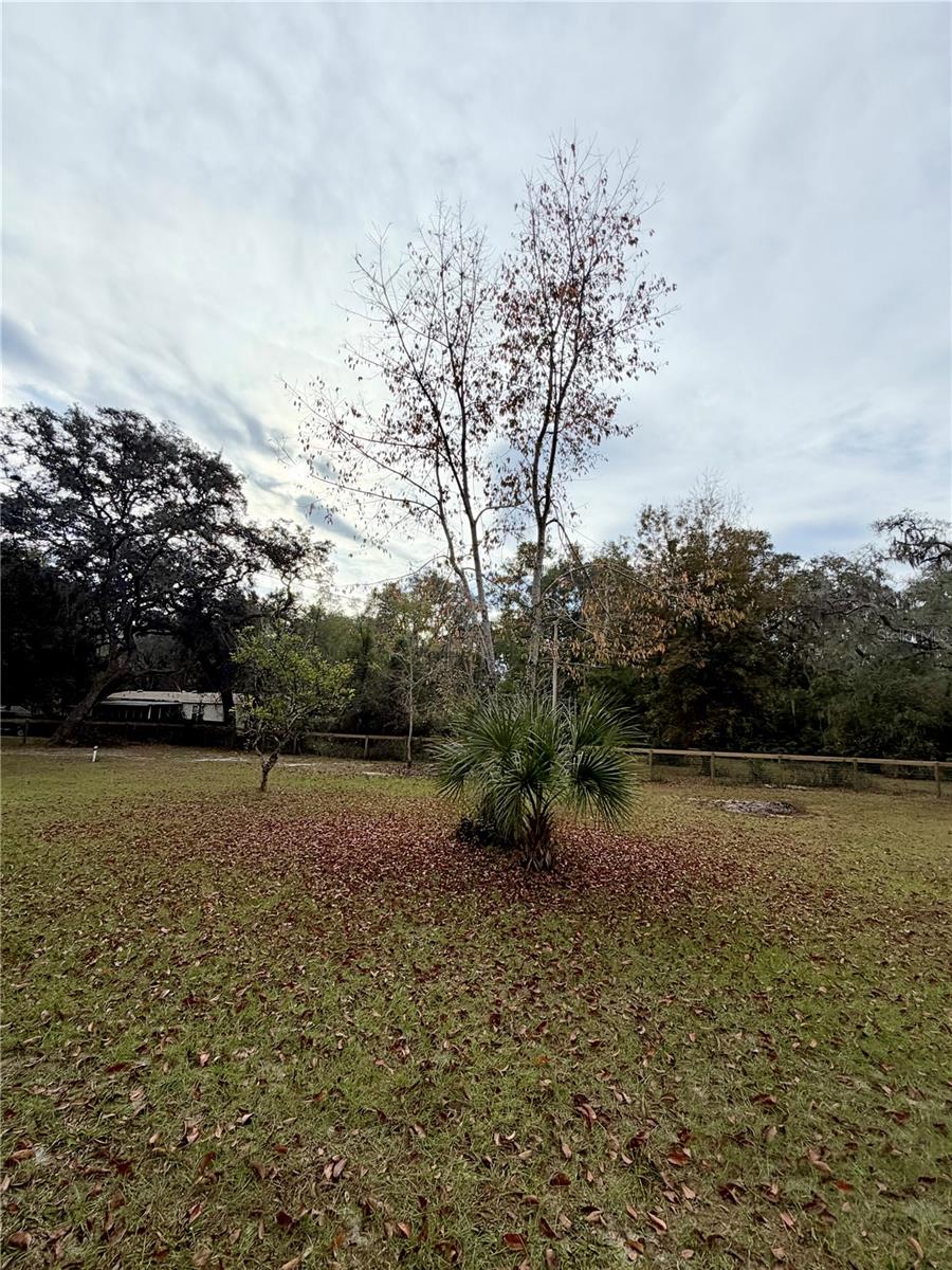 OCKLAWAHA RIVER ESTATE - Land