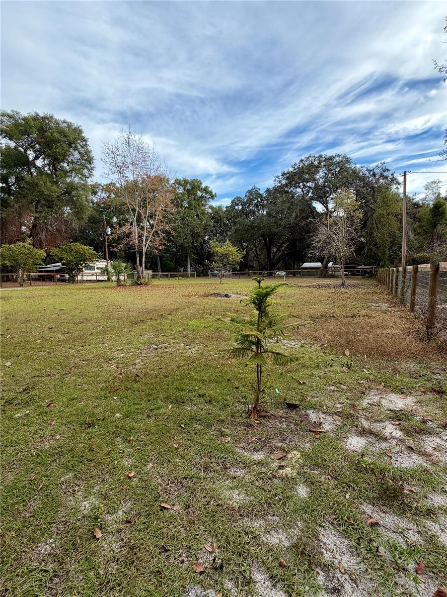 OCKLAWAHA RIVER ESTATE - Land