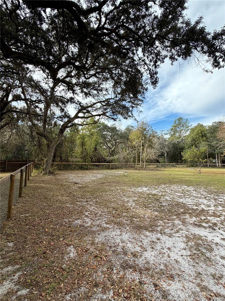 OCKLAWAHA RIVER ESTATE - Land