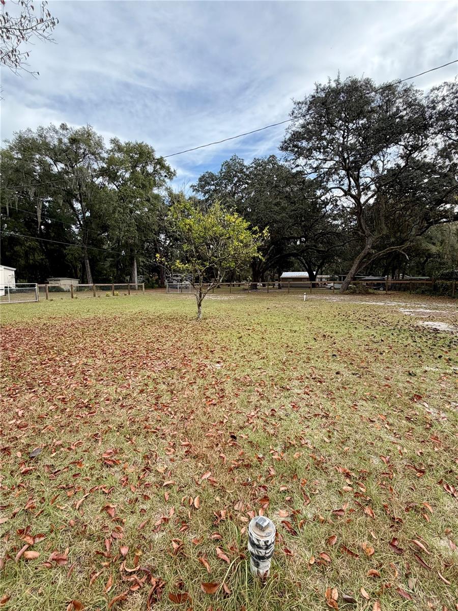 OCKLAWAHA RIVER ESTATE - Land