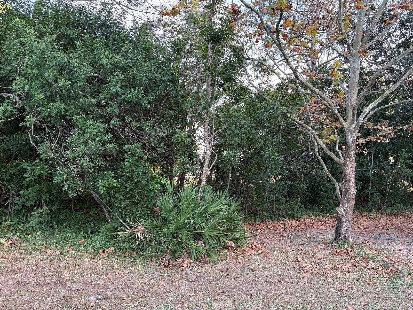 CLUBHOUSE ESTATES OF COUNTRYSIDE - Residential Lease