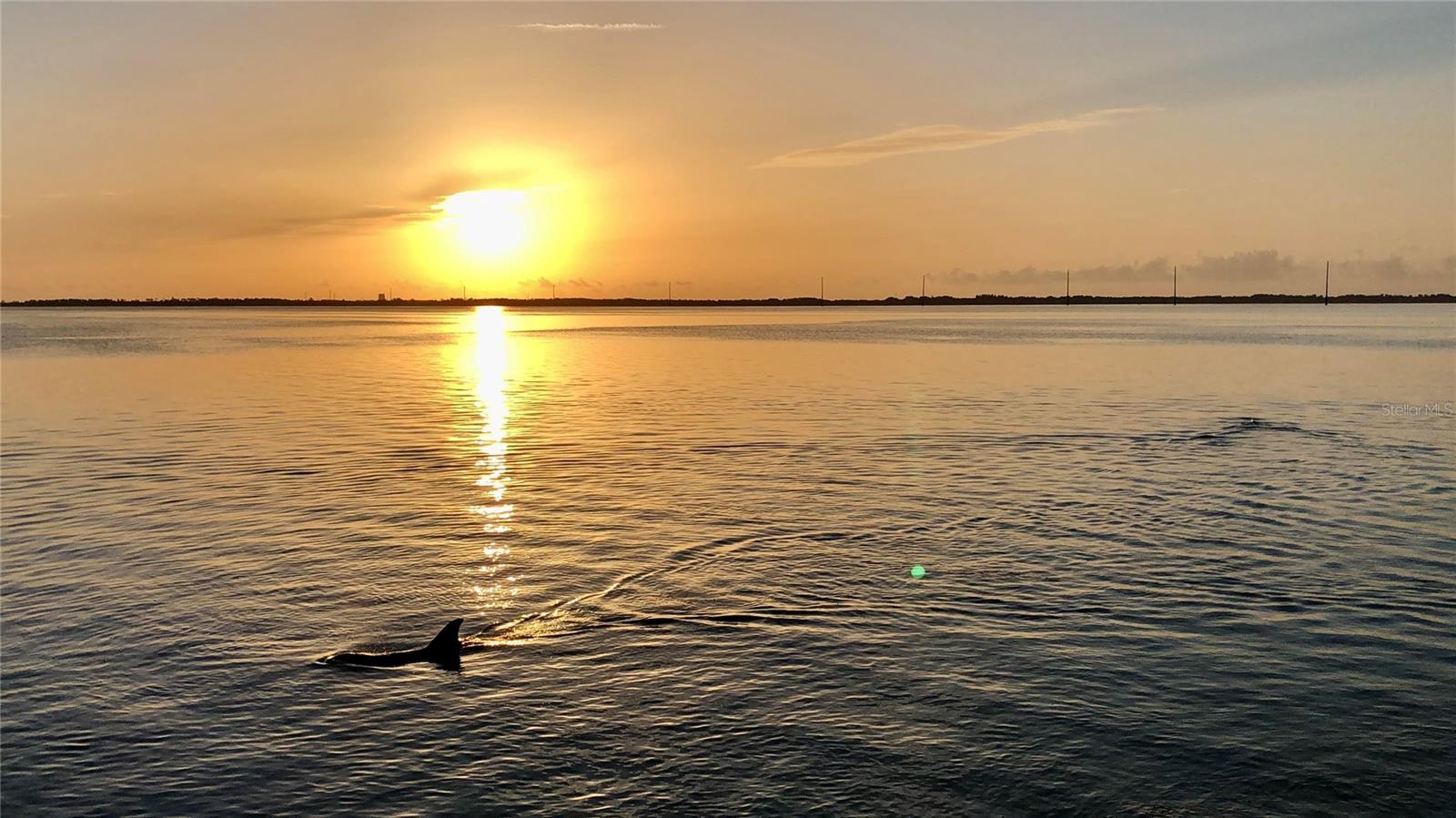 DELESPINE ON INDIAN RIVER - Residential