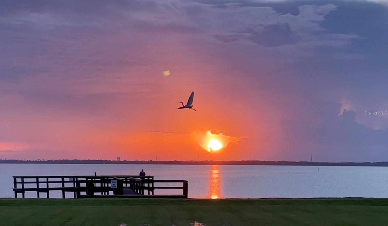 DELESPINE ON INDIAN RIVER - Residential