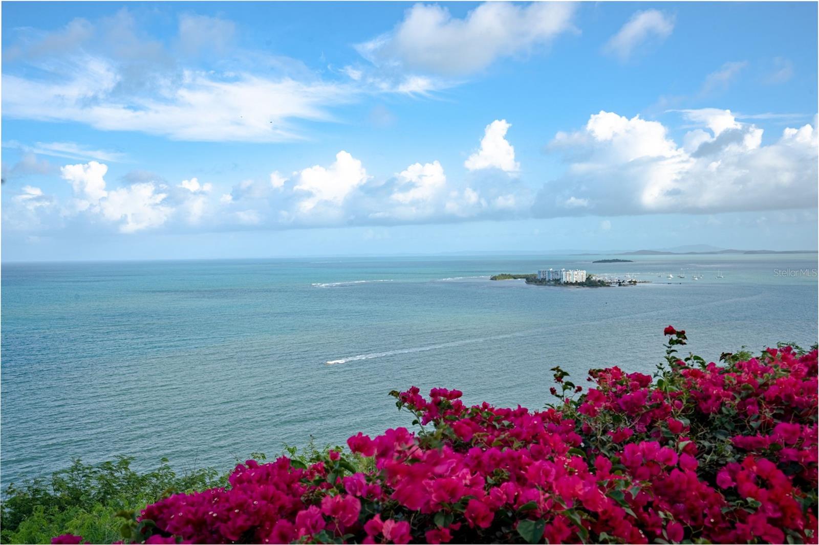 LAS CASITAS I - Residential